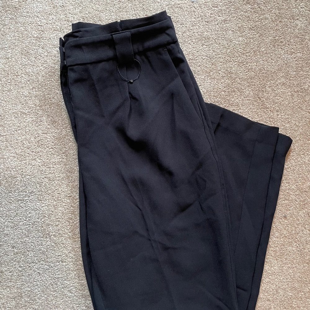 Express 12R Ankle Pants